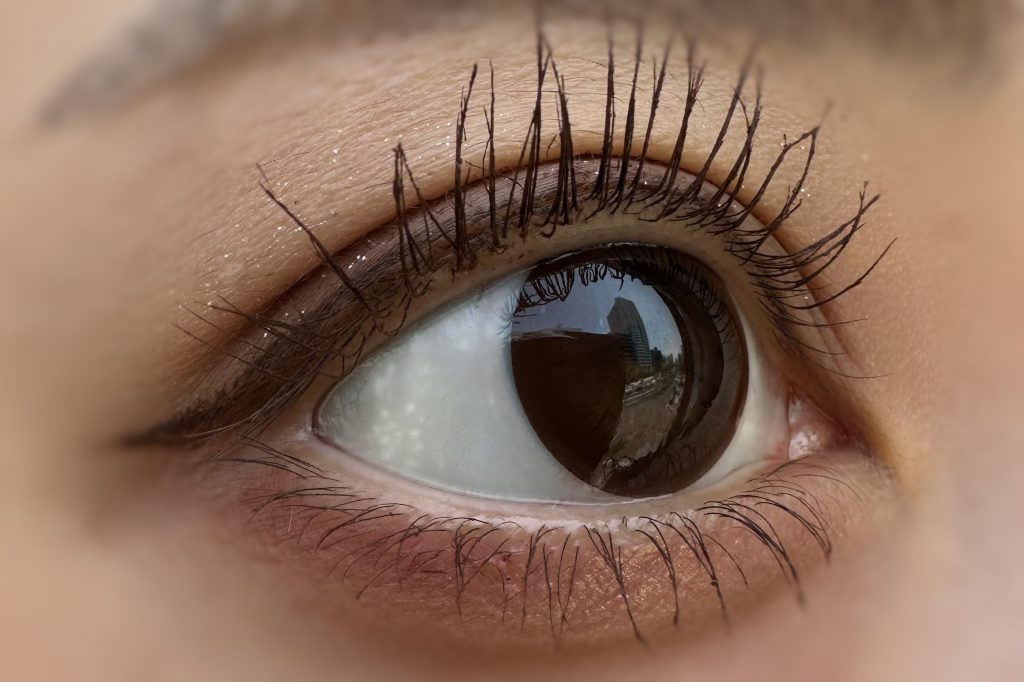 エンジェルアイズ-ヴィヴィッドブラウン－レポ