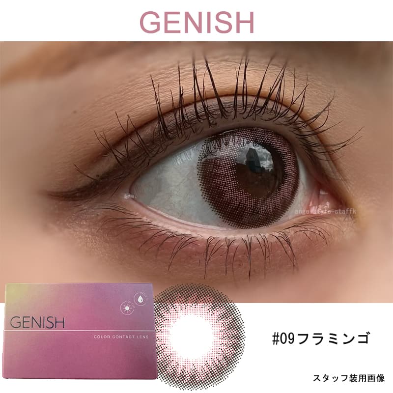 ジェニッシュ（GENISH）フラミンゴレポ