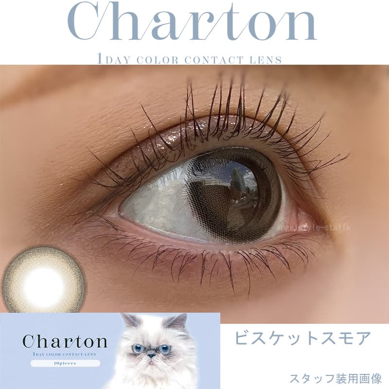 シャルトン ワンデー(charton 1day)ビスケットスモアレポ