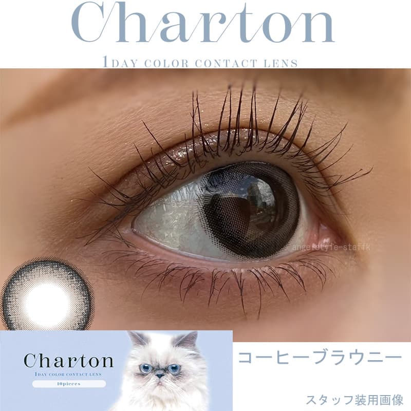 シャルトン ワンデー(charton 1day)コーヒーブラウニレポ