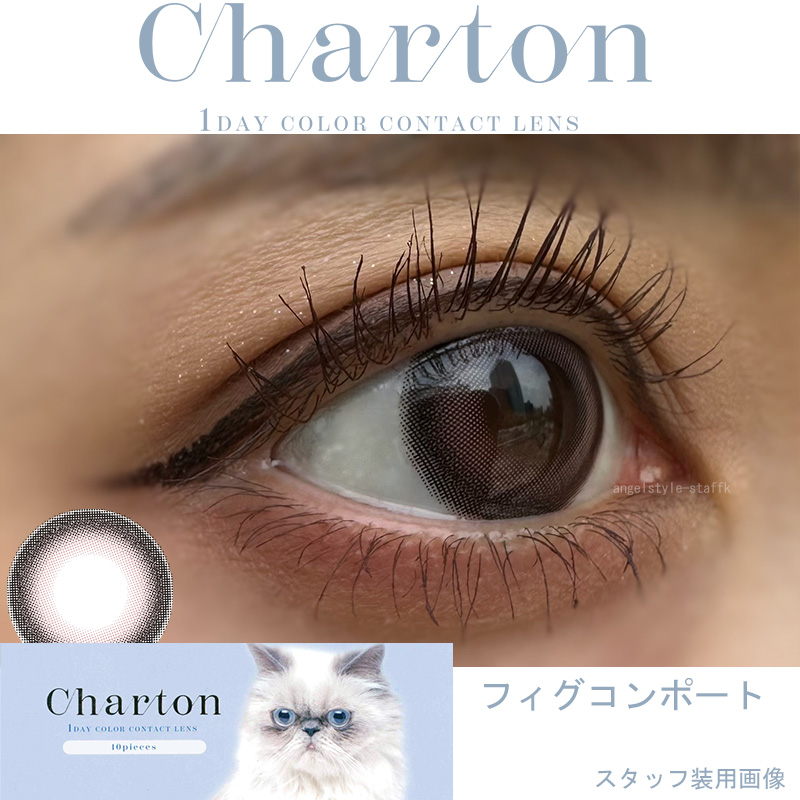 きぬイメージモデル「シャルトンワンデー」フィグコンポートレポ