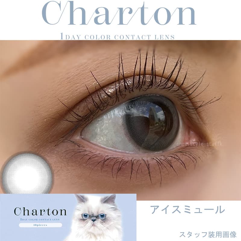 シャルトン ワンデー(charton 1day)アイスミュールレポ