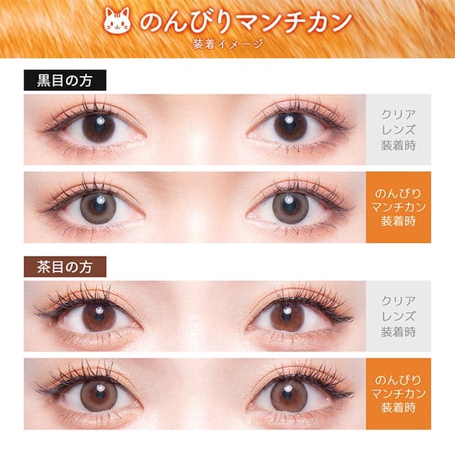 フルーリー ワンデー(Flurry by colors)10枚入のんびりマンチカン