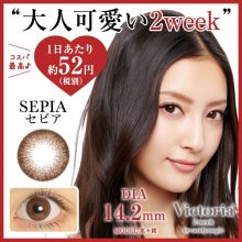 ヴィクトリア2ウィーク　セピア 口コミ・装着レポ